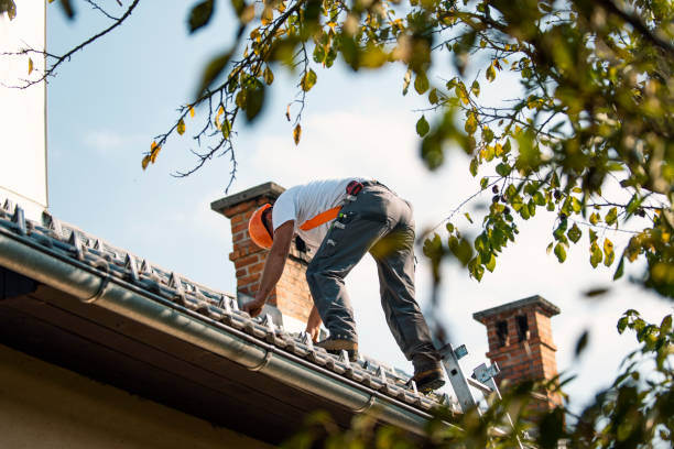 Best Roof Insulation Installation  in Tullahoma, TN